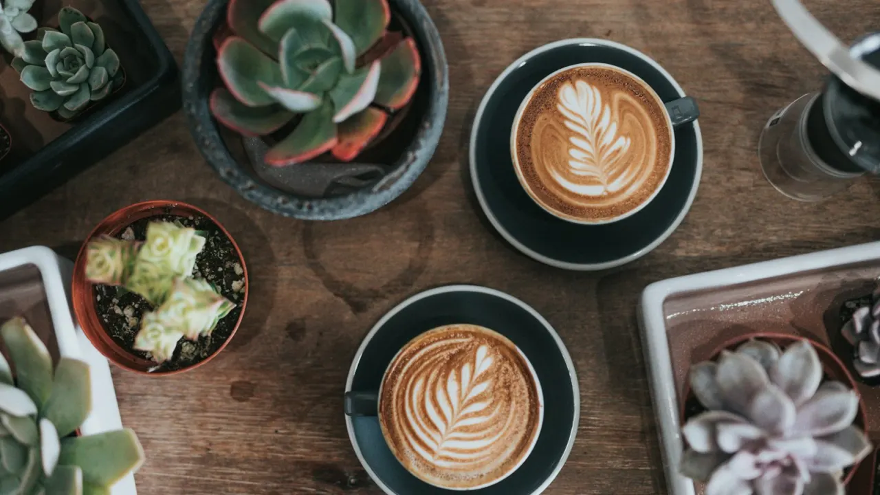Cup of coffee and succulent plants on a desk