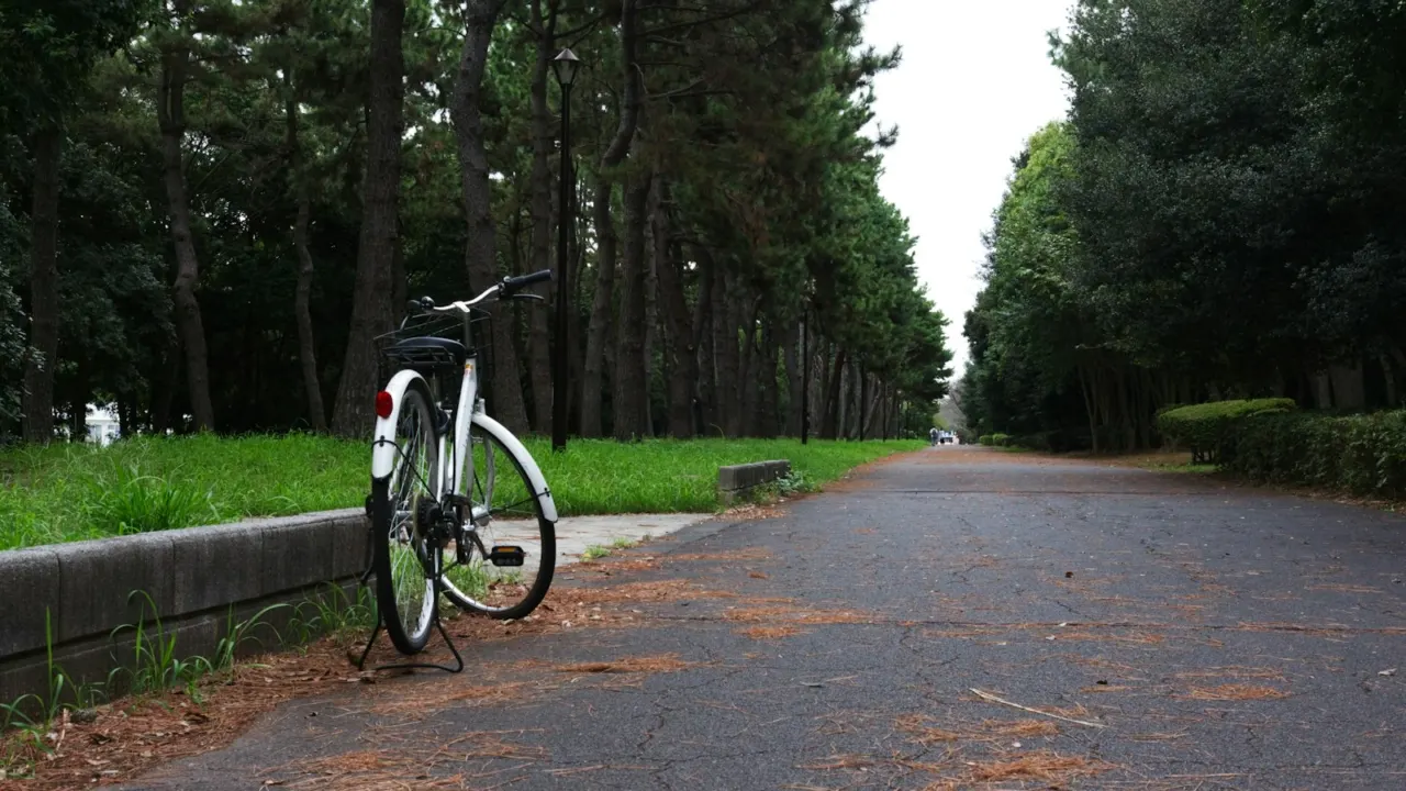 Bicycle parked on a quiet park path lined with trees