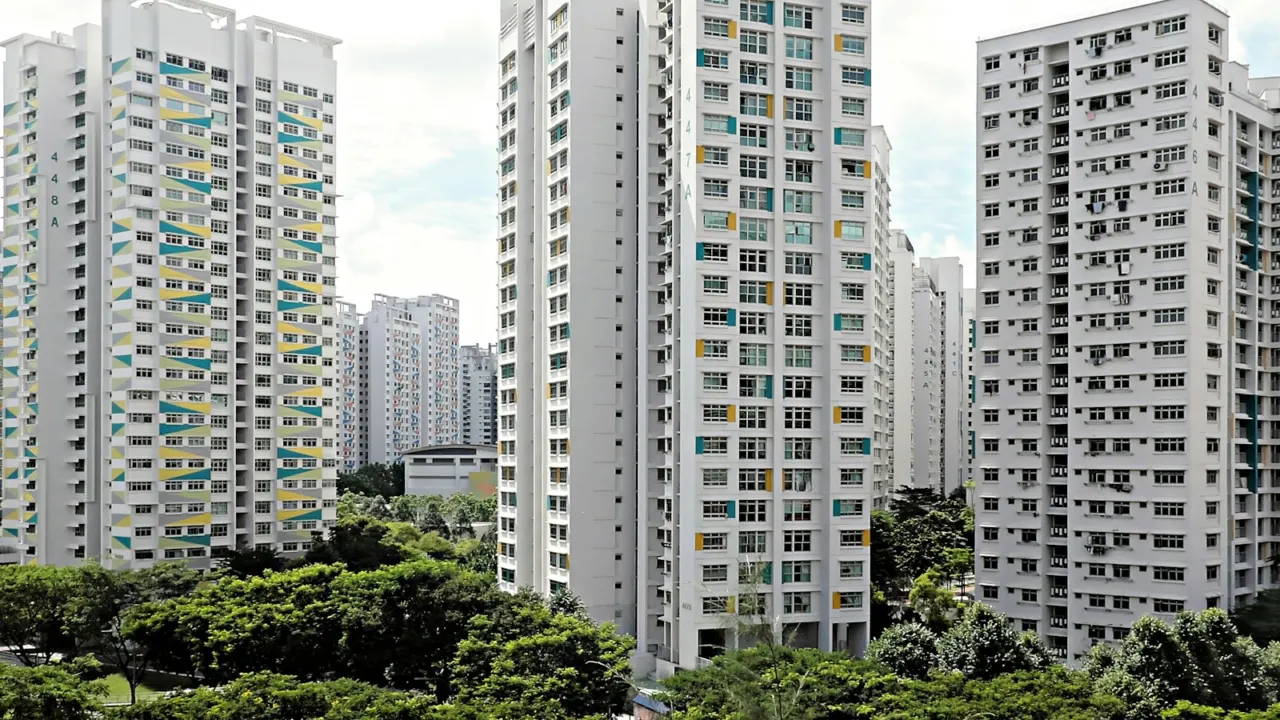 Tall white residential tower blocks in Singapore above a line of green trees