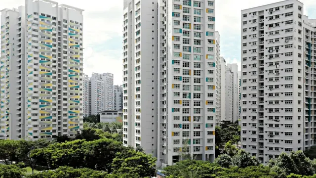 Tall white residential tower blocks in Singapore above a line of green trees