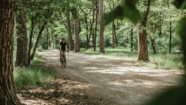 Cyclist riding along a tree-lined path through green woodland