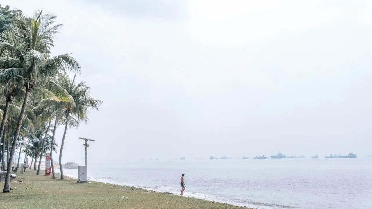 Palm trees and a quiet sandy beach on the Singapore coast