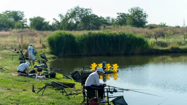 People fishing from the bank of a calm lake edged with greenery
