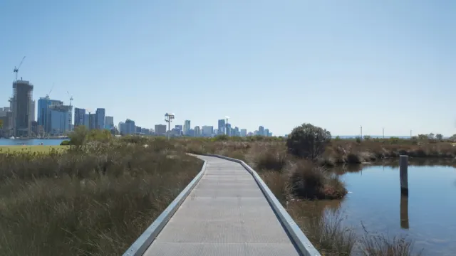 Concrete boardwalk through reeds and ponds with a city skyline in the distance
