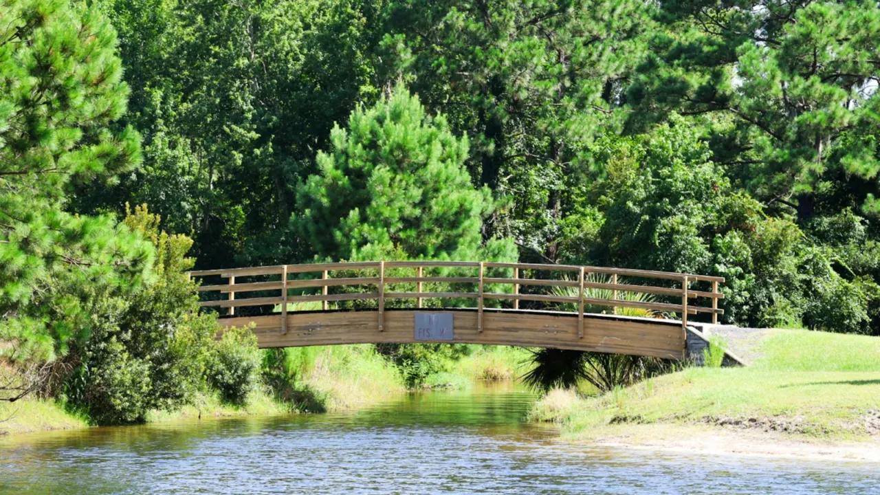 Wooden bridge across calm water lined with lush green trees