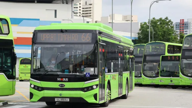 Green public buses parked in a row at a Singapore bus interchange