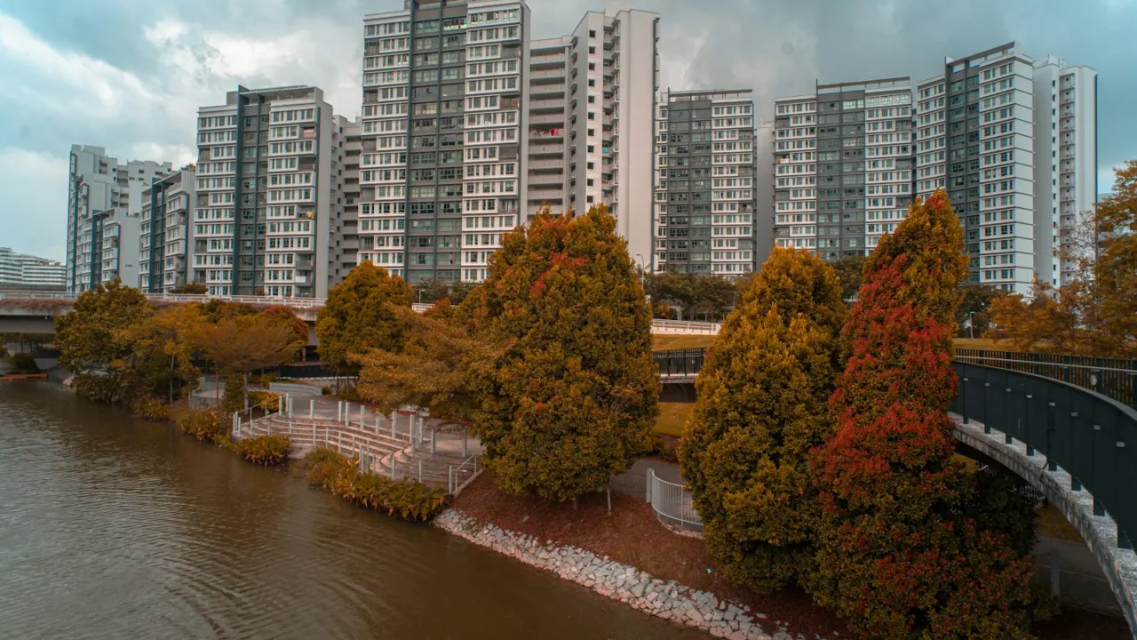 River bordered by orange-leaved trees with high-rise flats and a footbridge behind