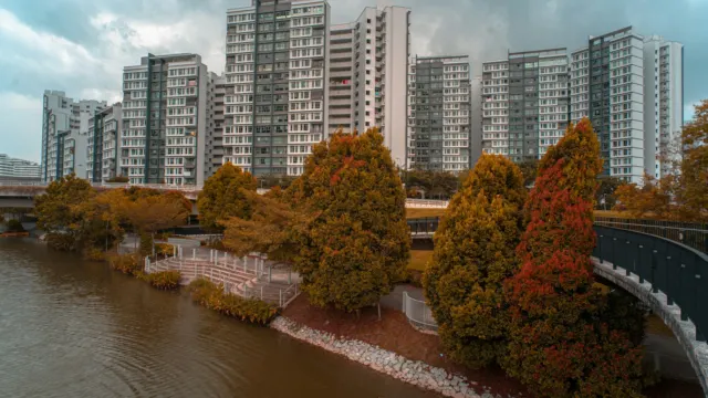 River bordered by orange-leaved trees with high-rise flats and a footbridge behind