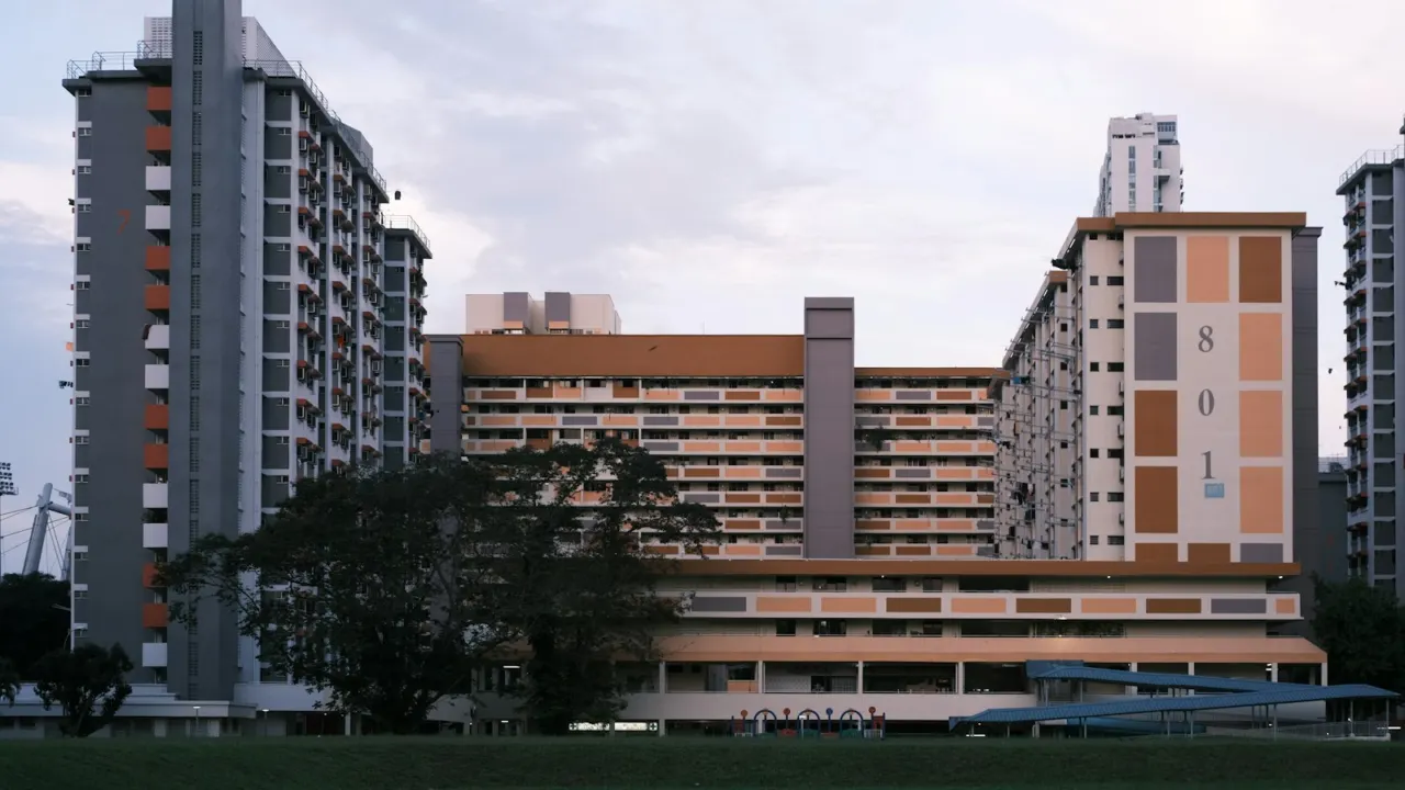 Older HDB blocks with a painted facade behind a grass field and trees